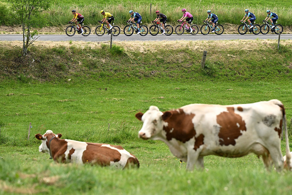 2026 Tour Auvergne-Rh&ocirc;ne-Alpes stage 5: the peloton chases the early break