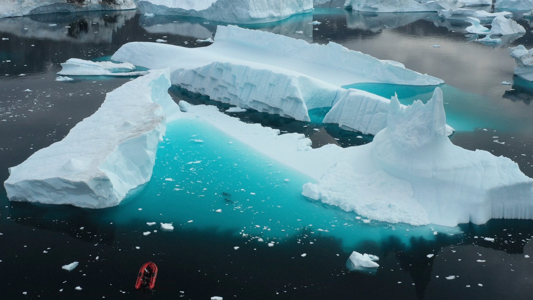 The Greenland iceberg habitat where the snail was found.