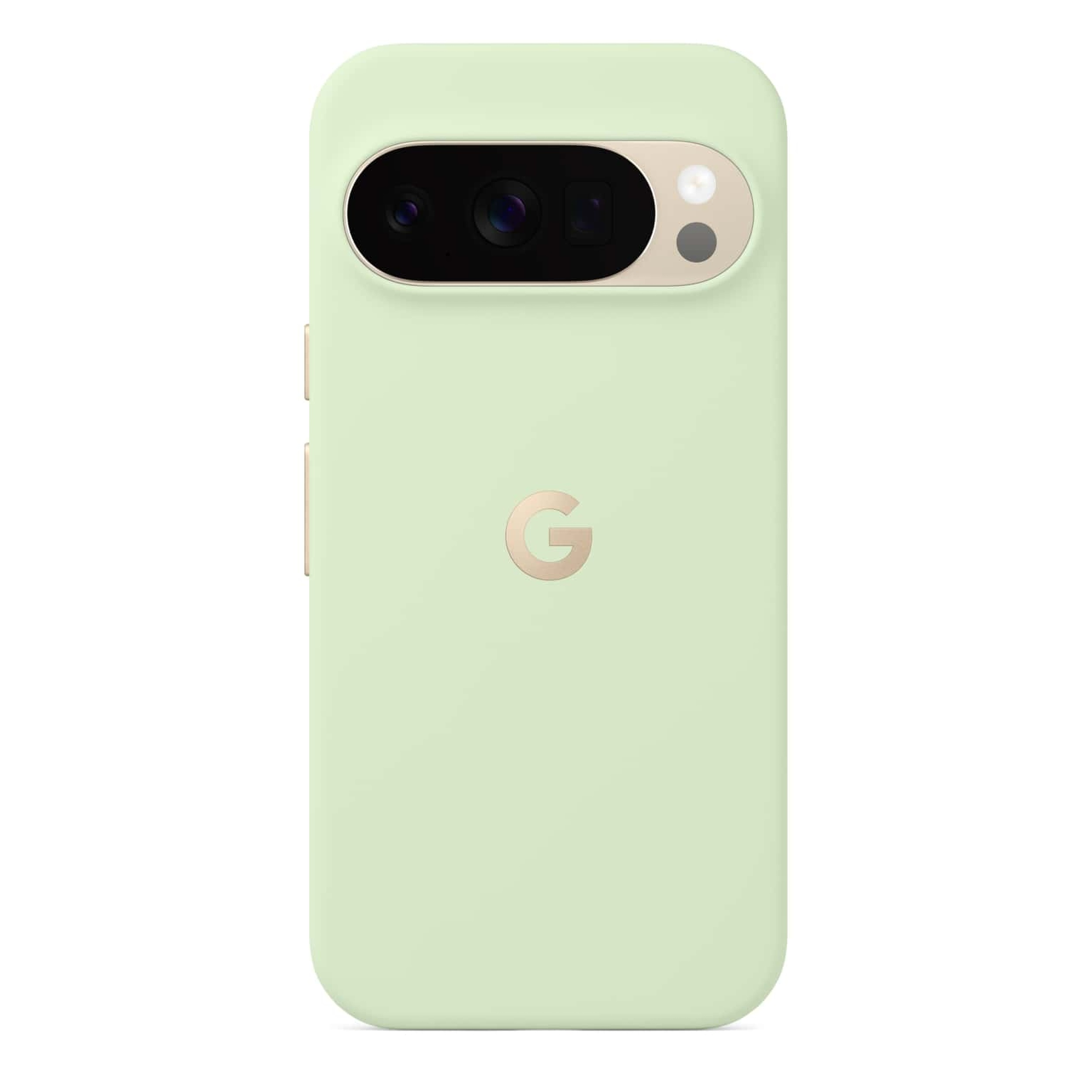 Google Pixel 10 Pro Pixelsnap case
