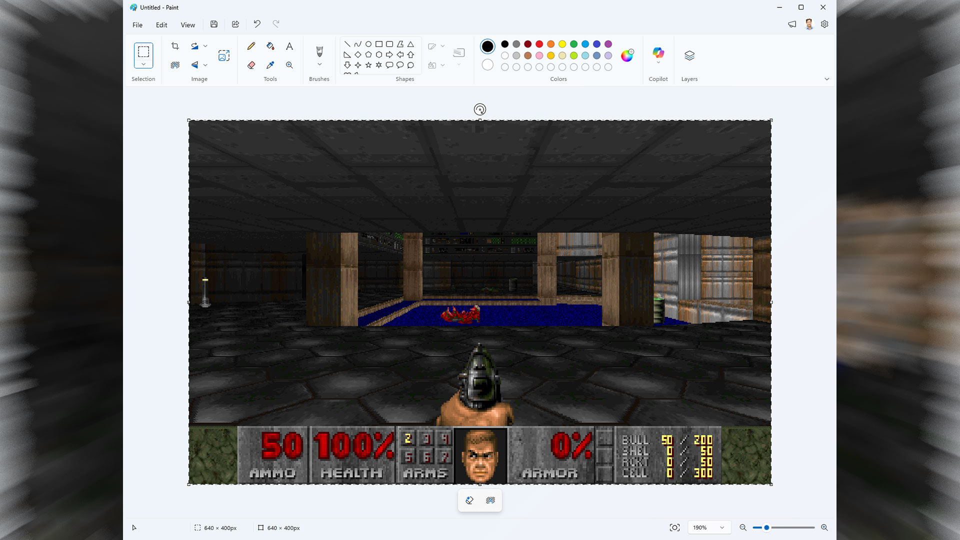 DoomPaint 