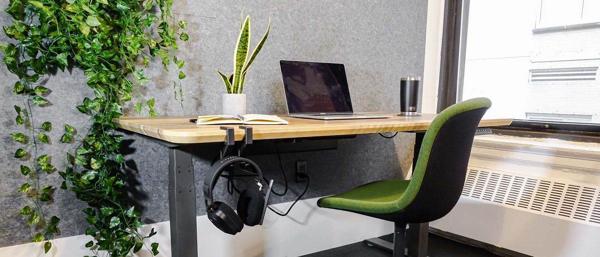 Vari Electric standing desk in office