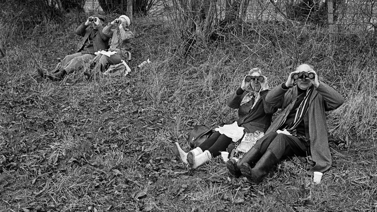 Two couples sat by a fence and staring through binoculars