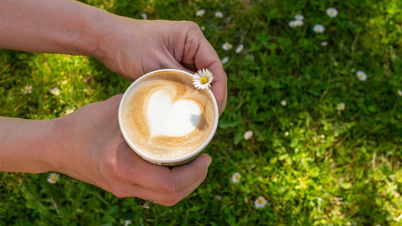 hands holding a coffee over a lawn