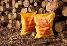 Hotmax-in_front_of_logs.jpg