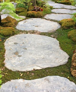 A backyard with large light gray stones forming a curved path with dark green moss surrounding it