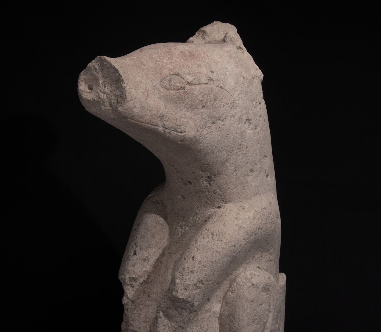A limestone sculpture of a peccary found at Aguada F&eacute;nix dating to the early Middle Preclassic (1000-700 B.C.). The researchers nicknamed it Choco.