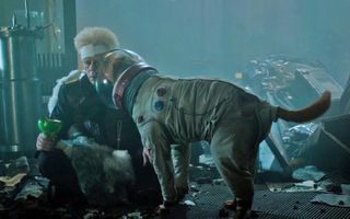 Cosmo the Spacedog