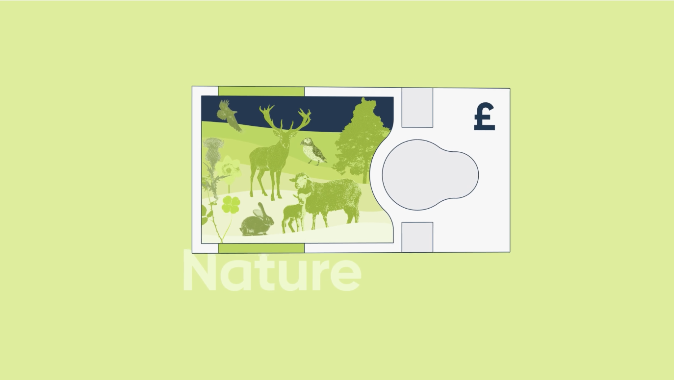Graphic representing the theme of Nature