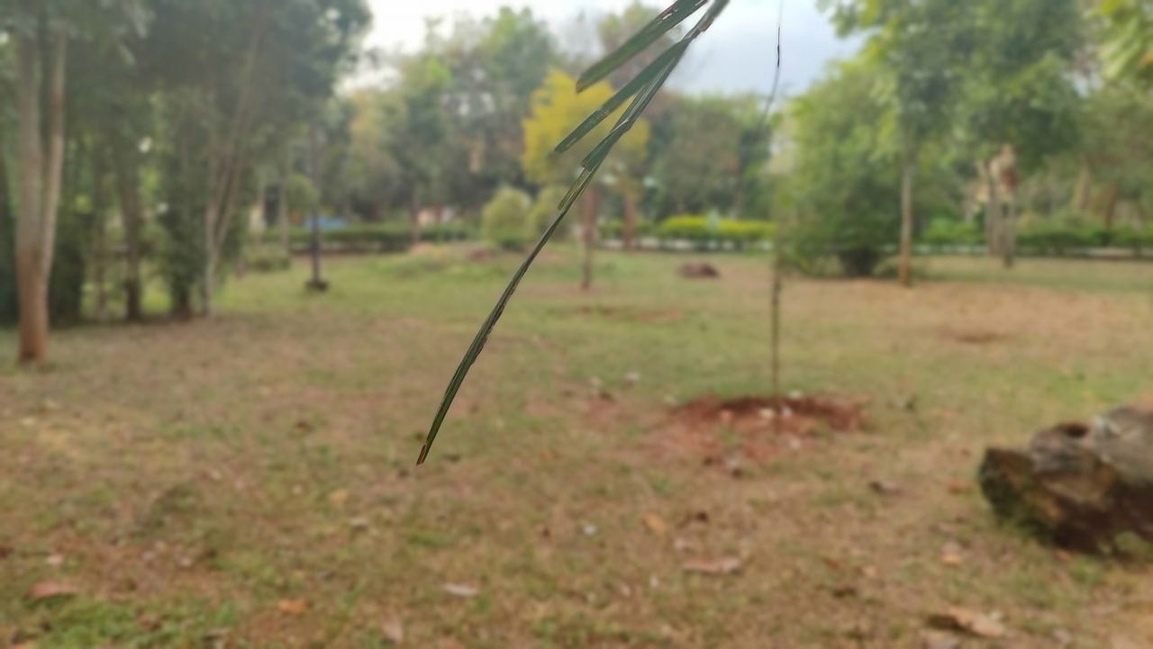 Xiaomi Mi 10i