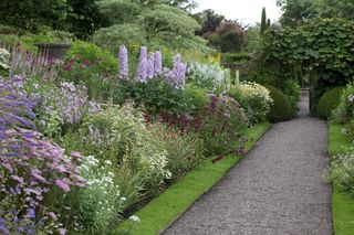classic combinations in a colourful flower border