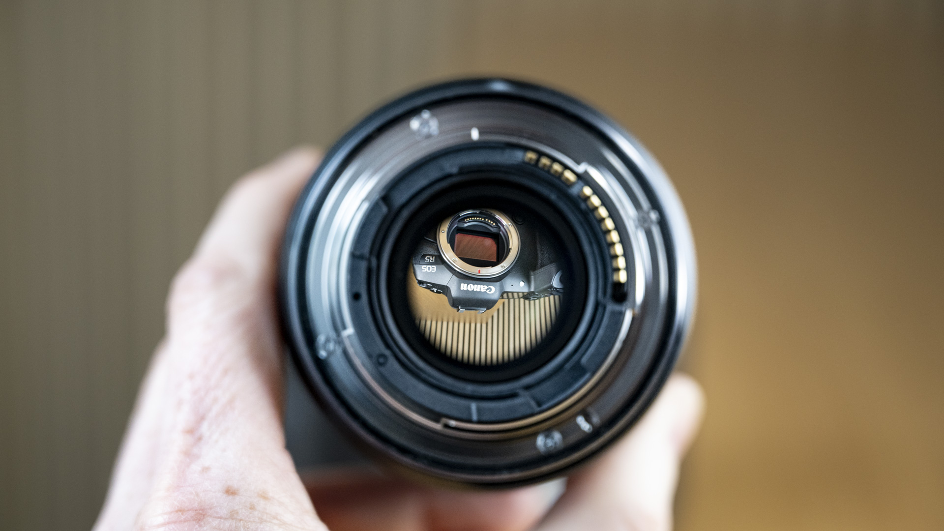Rear of the Canon RF 35mm F1.4 lens in the hand