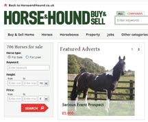 new-classifieds1.jpg