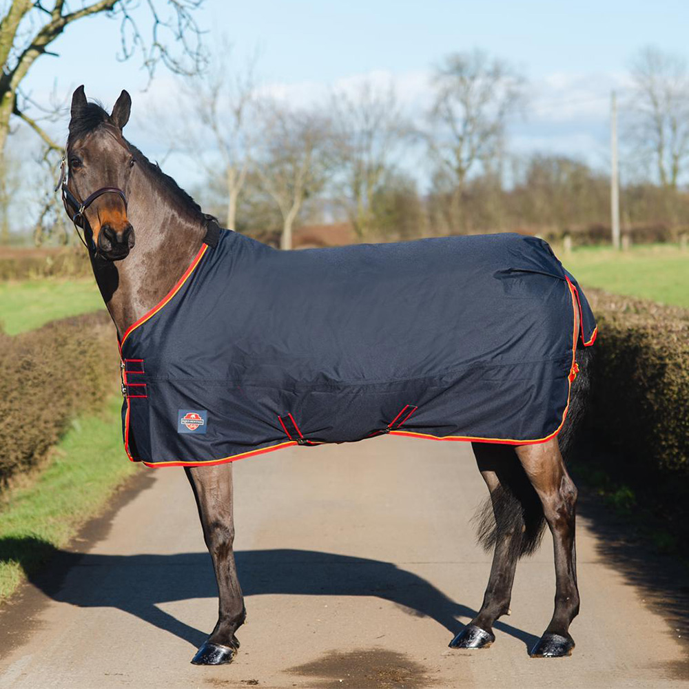 Side view of a horse wearing a navy Mackey Equi-Sential Light Turnout rug