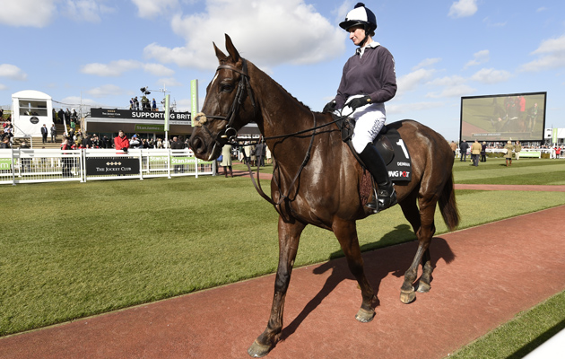 Cheltenham Festival Day 1 10 03 2015