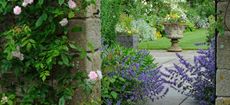 Stanton Fence garden near Mortpeth, Northumberland (©Val Corbett/Country Life Picture Library)