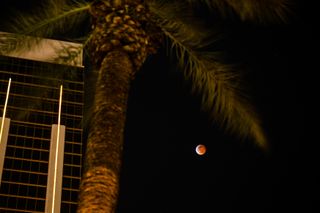 Astrophotographer Tyler Leavitt captured this photo of the total lunar eclipse from Las Vegas.