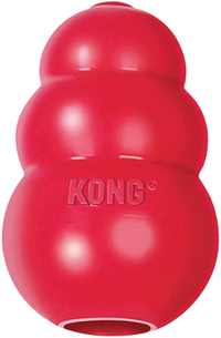 KONG Classic Dog Toy