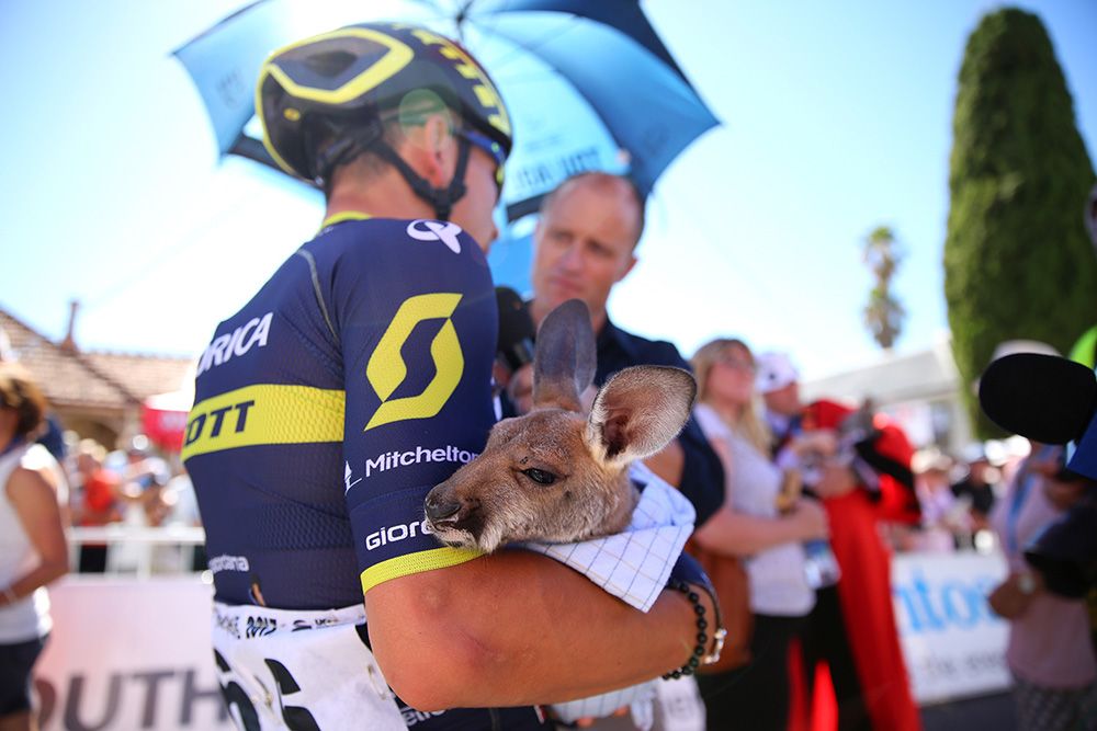 Caleb Ewan (Orica-Scott) holda young kangaroo at the start of the stage