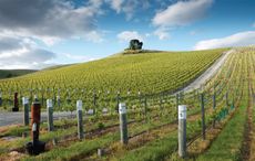 Waihopai Valley, Marlborough