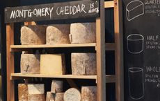 Dream of becoming a cheesemaker? Take your first steps with a course at Frogmary Green Farm in Somerset