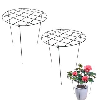 2 Pack Round Peony Cages and Supports Grow Through Grid Plant Brace,24 Inch Heigh Plant Support Stake for Small Plant Flower Vegetable (2pcs 24“)