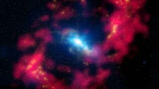 a bright blue central glob shines engulfed in blue gasses. Around it in a tall oval shape is a ring of red gasses. This composite image shows the central region of the spiral galaxy NGC 4151. In the center, X-rays (blue) from the Chandra X-ray Observatory are combined with optical data (yellow) showing positively charged hydrogen from observations with the 1-meter Jacobus Kapteyn Telescope on La Palma in the Canary Islands. The red around the center shows neutral hydrogen detected by radio observations with the National Science Foundation's Very Large Array in New Mexico. This neutral hydrogen is part of a structure near the center of NGC 4151 that has been distorted by gravitational interactions with the rest of the galaxy and includes material falling toward the center of the galaxy. The yellow blobs around the red ellipse are regions where star formation has recently occurred.