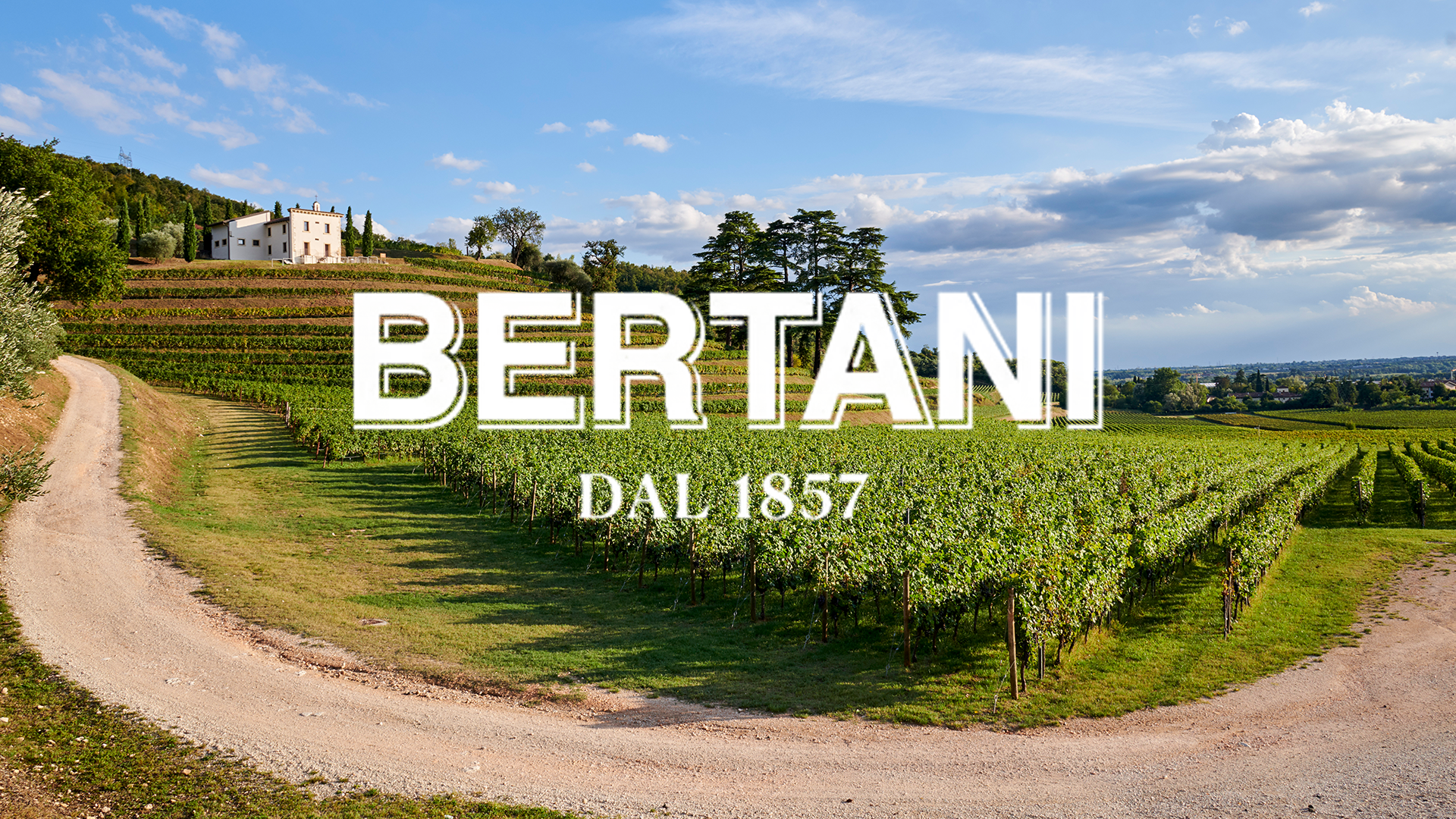 Bertani-051_DSC2618.png