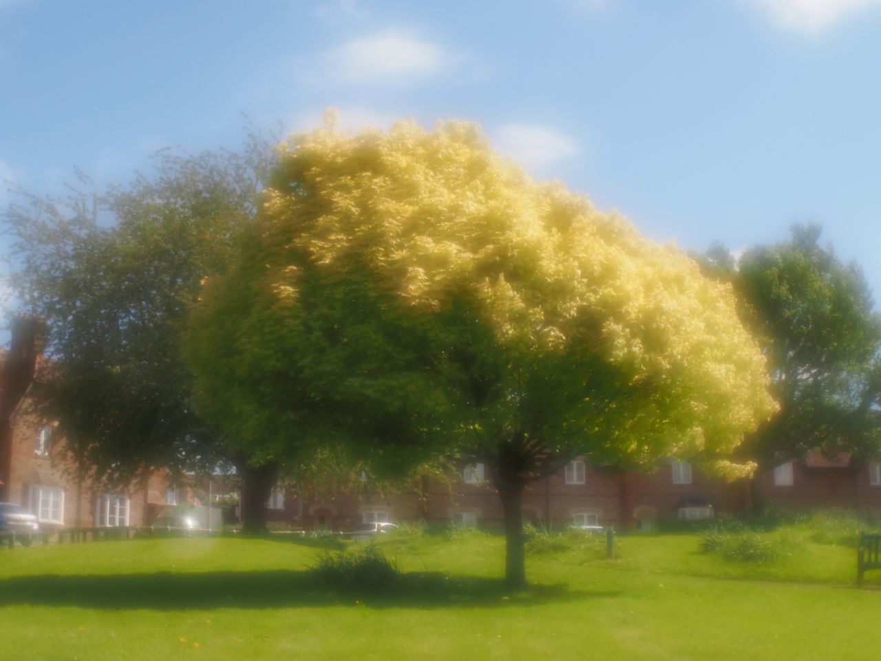 "Painterly" is a term that's thrown around a lot, but the Lensbaby Velvet 28 truly renders painterly images