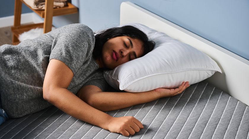 TG bedding writer testing the Beckham Hotel Collection Pillow in Sleep studio