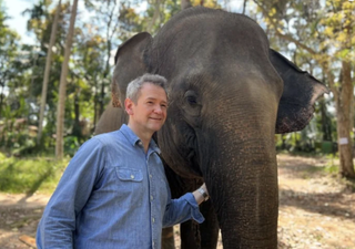 Alexander Armstrong posing with an elephant