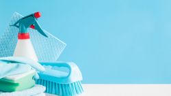 5 Things You Didn T Know You Can Clean With Witch Hazel Tom S Guide