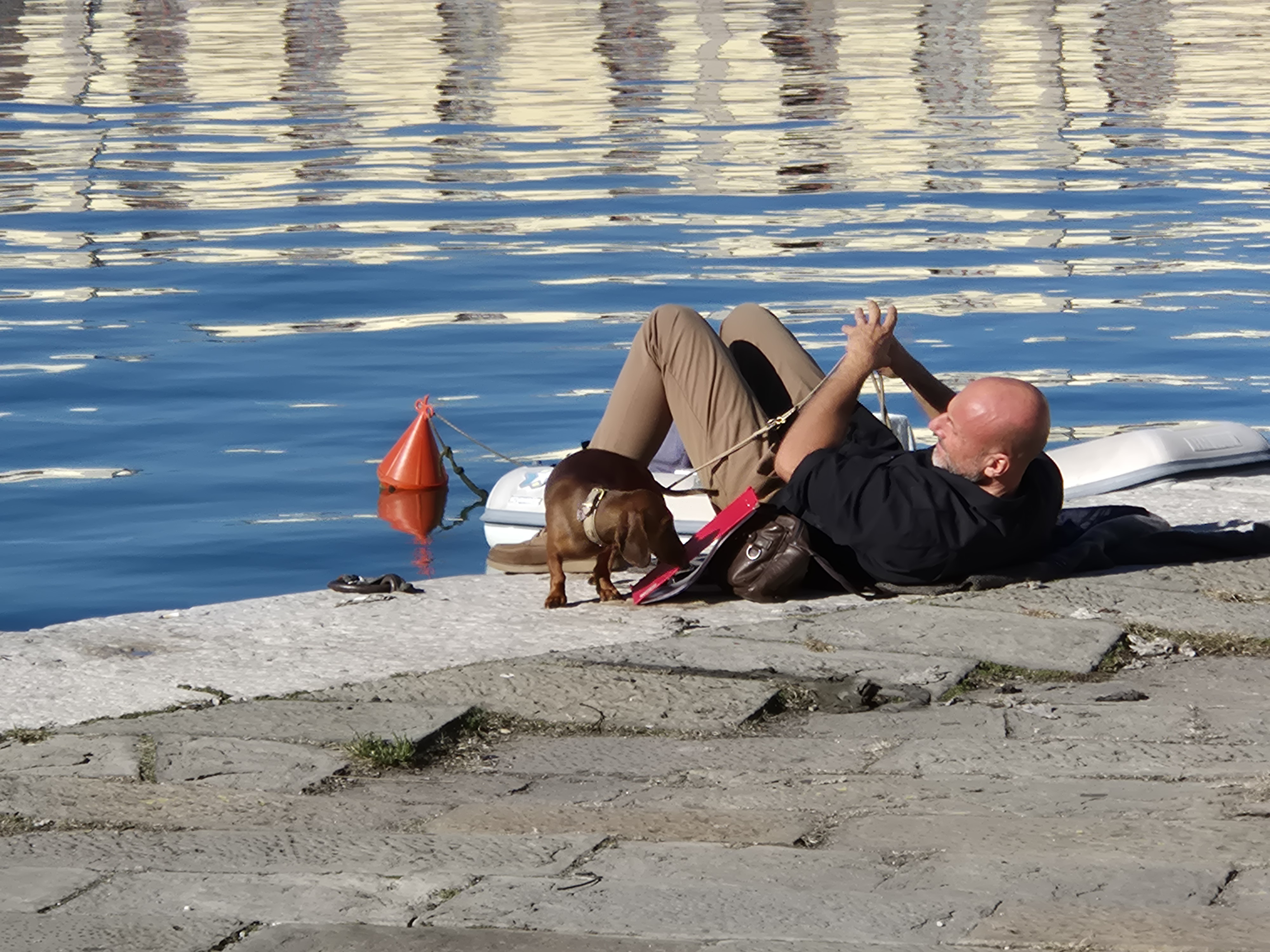 GuruShots - February 2026