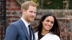 Prince Harry and Meghan Markle might have welcomed a family member in a secret reunion 