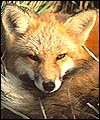 4E8DF491-A6F3-43B4-AECF-0D4778CDCE37.jpg