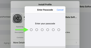 iPadOS 16 beta install guide showing passcode entry field highlighted