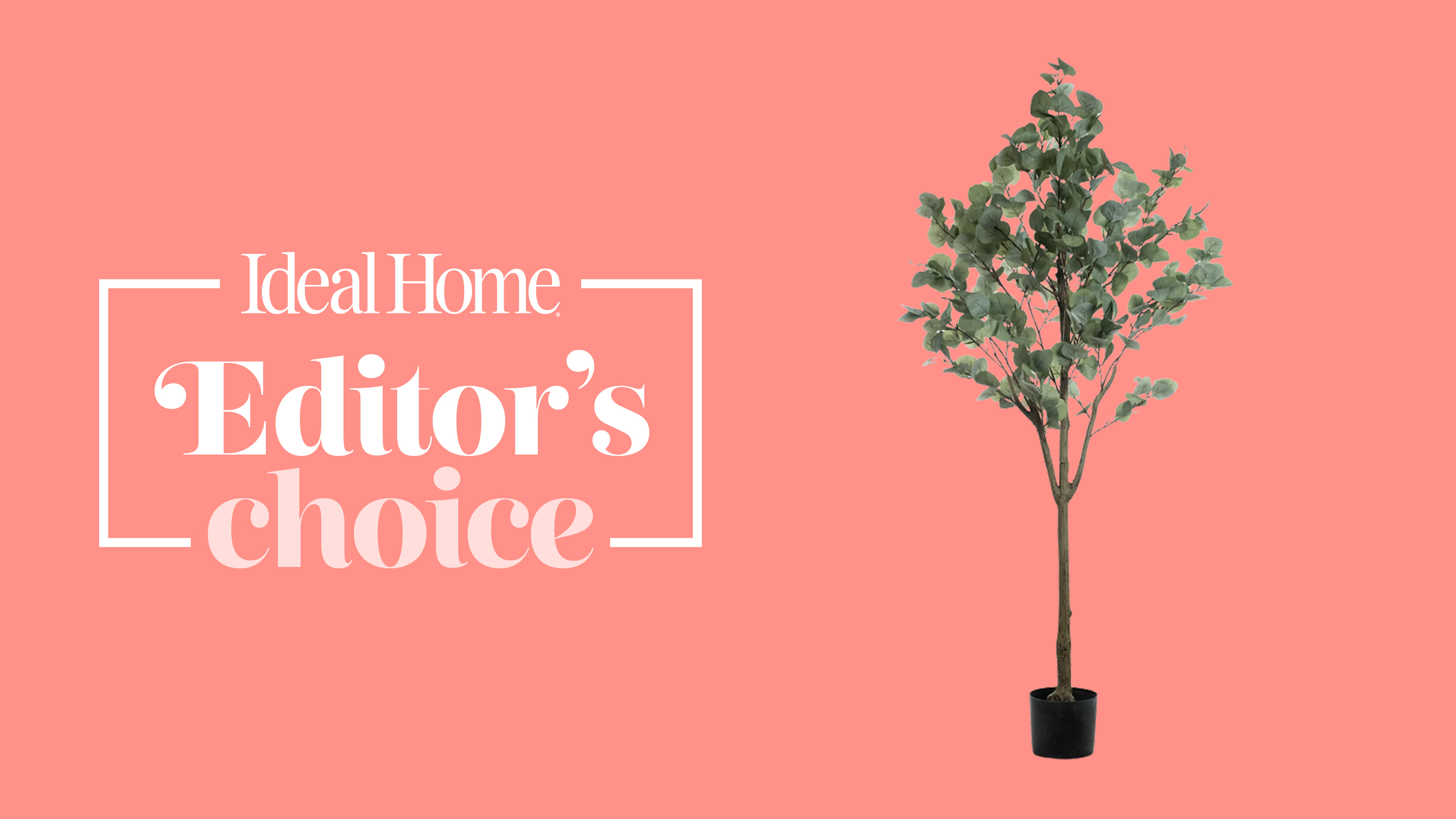 Faux eucalyptus tree on a pink background