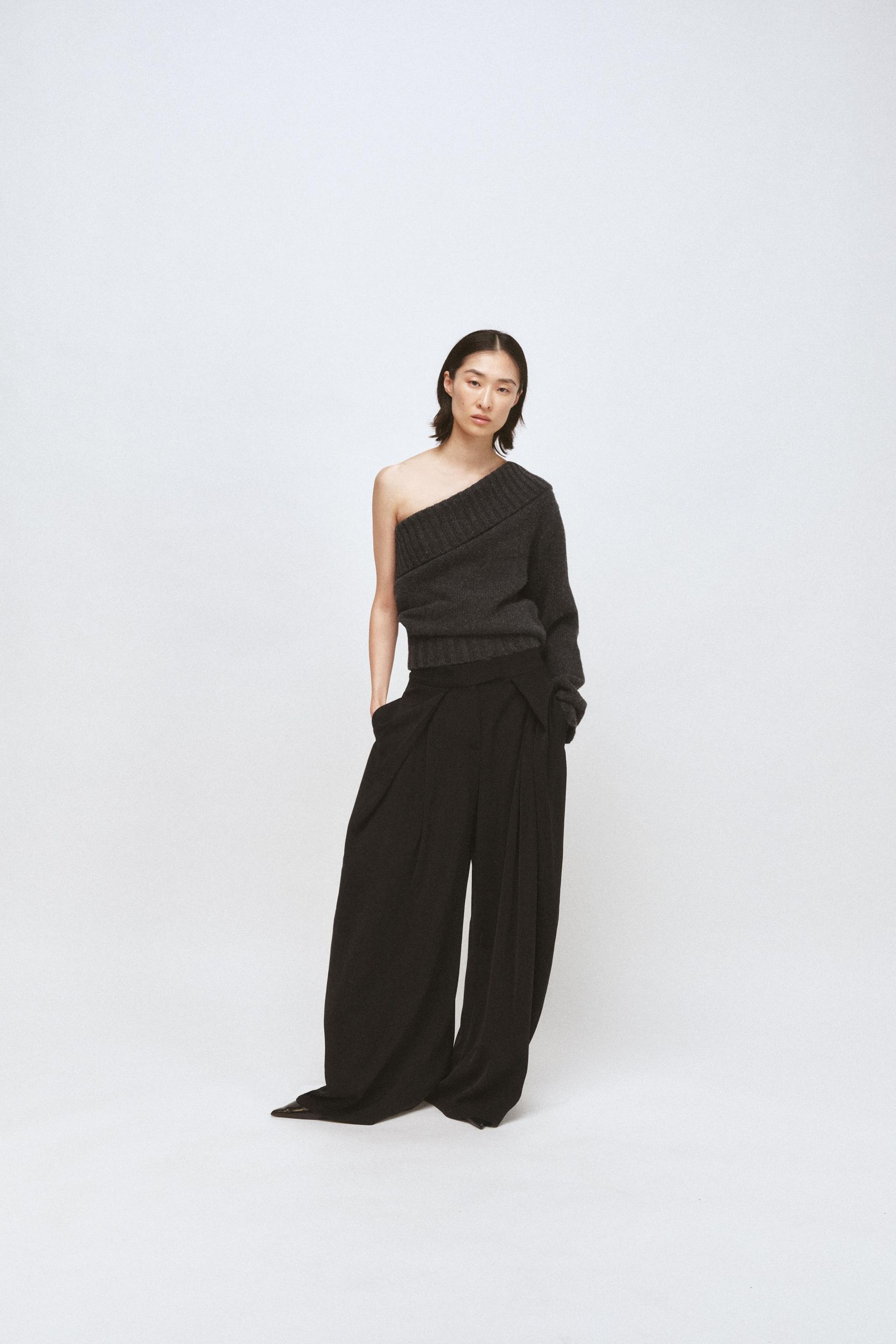 Wide Leg Pleated Pants Zw Collection