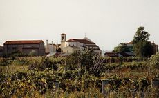 000008945-erasmo.jpg