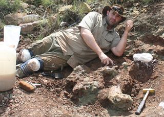 Dinosaur excavation in South Africa