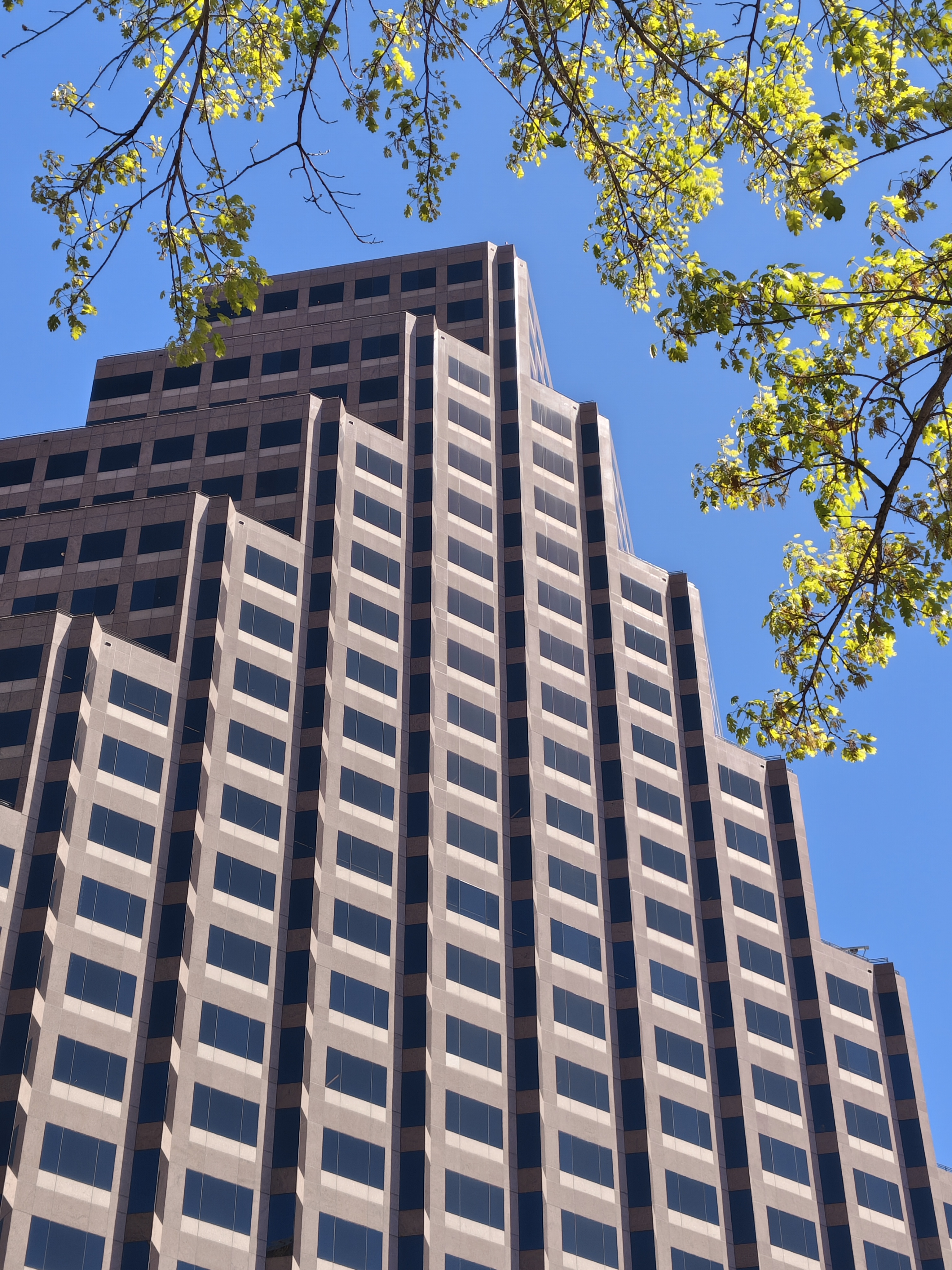 Sample images taken with the Nothing Phone (4a) Pro