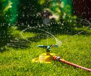 Watering a green lawn in the garden with a garden hose sprinkling system