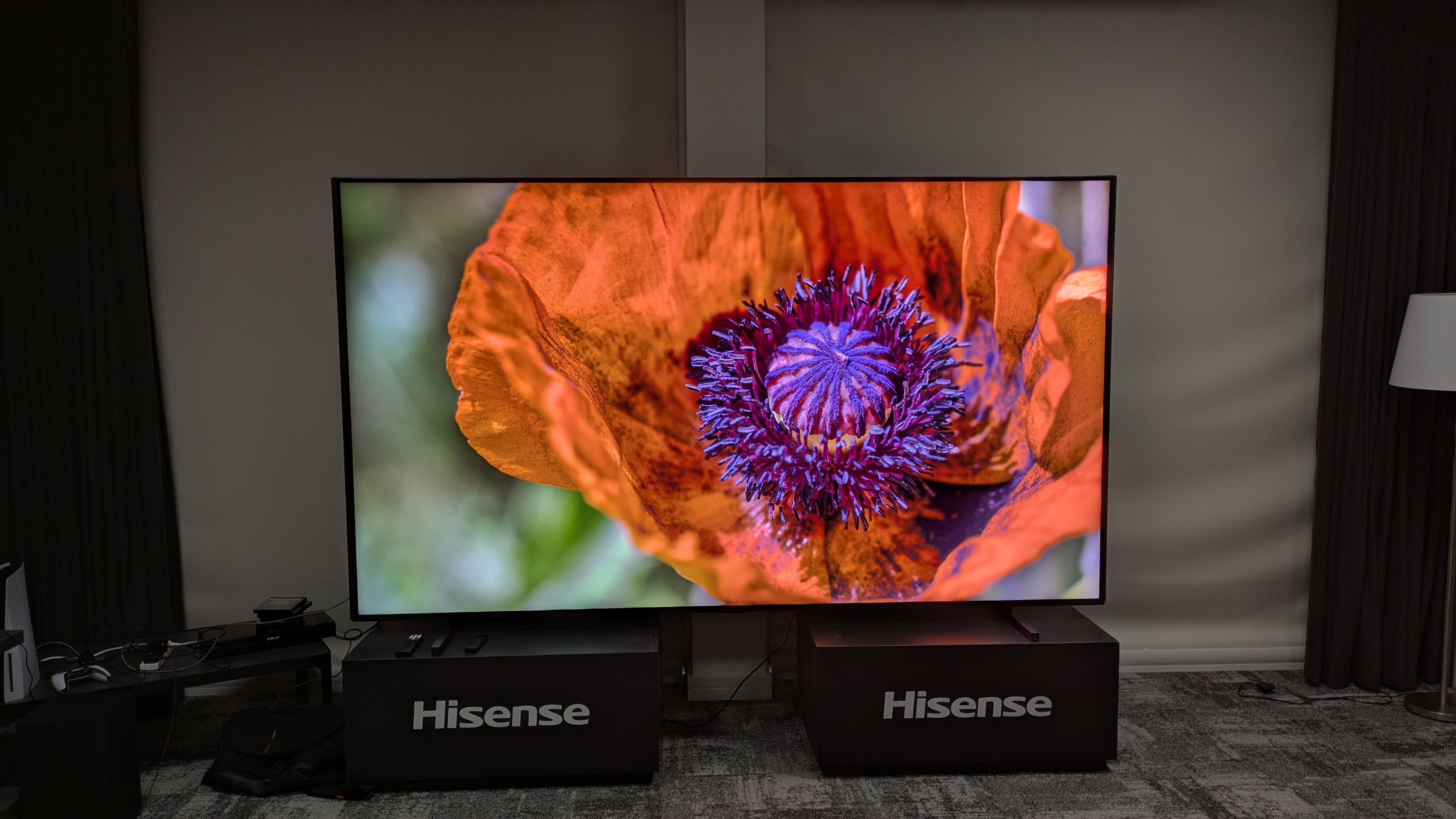 Hisense 116-inch UX RGB mini-LED TV displaying orange flower