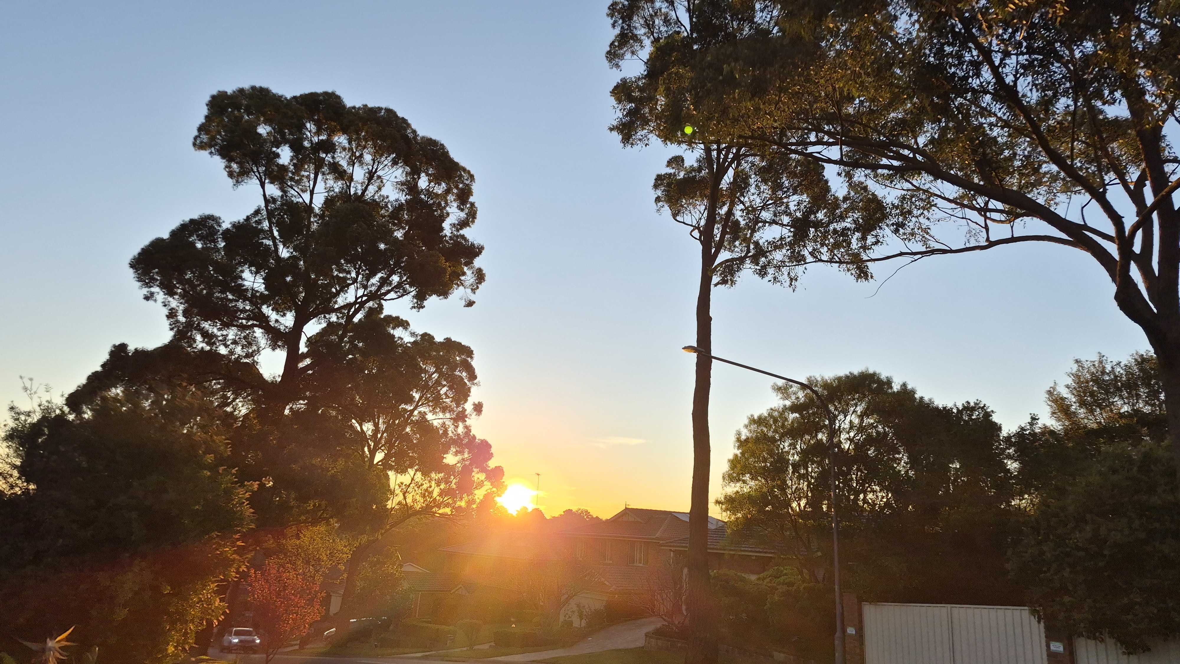 Photos taken with the Samsung Galaxy S25 FE