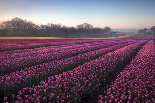 Landscape Photographer of the Year