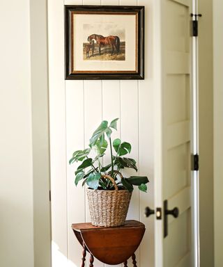 A monstera house plant in a pot on a stool in a corridor with a framed picture above it