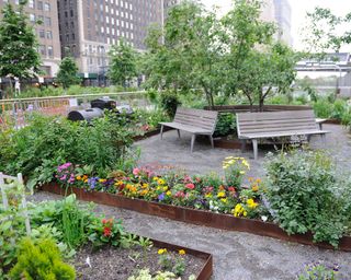 The Liberty Community Garden in Battery Park City