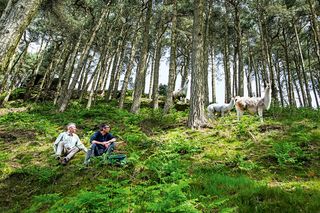 Matthew Parris (left) and his partner Julian Glover with their Llamas at their Derbyshire home. ©Richard Cannon for Country Life.