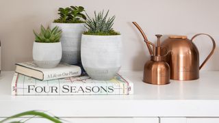 succulents on a shelf with gardening books and copper watering can to highlight how often should you water succulents