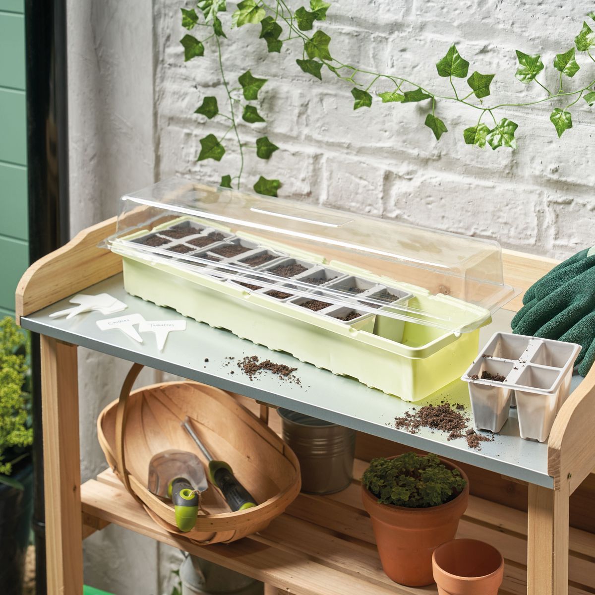 Aldi's £3 windowsill greenhouse is ideal for small spaces Ideal Home