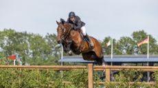 William Whitaker and Flamboyant jump the last in the 2026 Hickstead Derby
